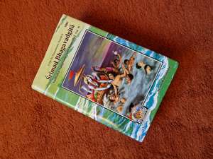 Shrimad Bhagavad Geeta Volume 2 cover
